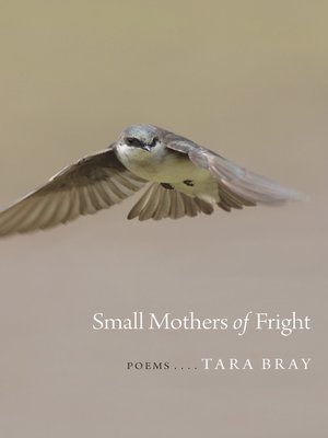 cover image of Small Mothers of Fright